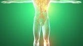 Tissues Of The Body | El Paso TX