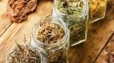 Herbal Therapy for Small Intestinal Bacterial Overgrowth